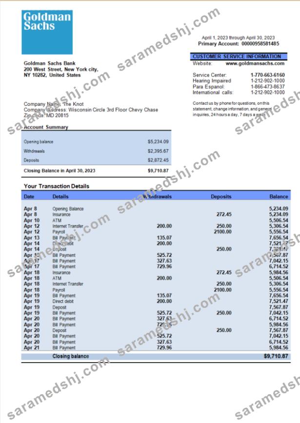 Goldman Sachs bank organization account statement Word and PDF template